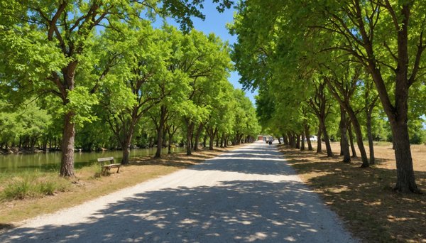 Découvrez Pourquoi Cérbère en Charente-Maritime est la Destination de Vacances Idéale avec le Camping Le Lagon