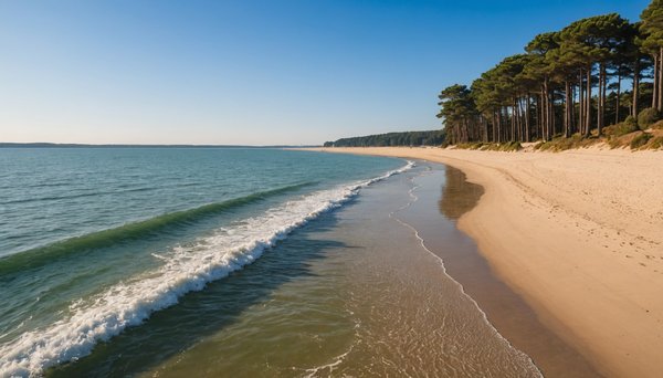 Activités Familiales Incontournables Autour du Bassin d'Arcachon : Guide Complet